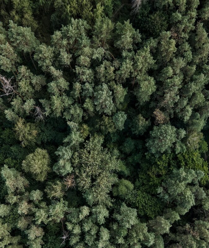 parksville-counselling-clinic